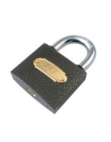 Kale 20 mm Gri Asma Kilit KD-001/10-120