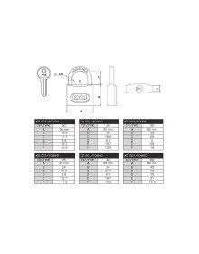Kale 50 mm Sarı Pirinç Asma Kilit KD-001/10-250