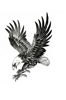 Kartal Geçici Dövme Şablonu Büyük Boy