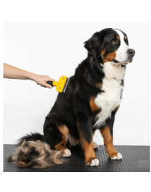 Kedi & Köpekler İçin Tüy Alıcı 7 cm