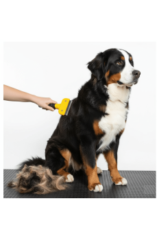 Kedi & Köpekler İçin Tüy Alıcı 7 cm