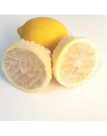 Limon Bonesi / 10 Adet / Bitki Çayı Bonesi