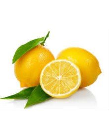 Limon Bonesi / 250 Adet / Bitki Çayı Bonesi