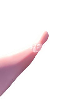 Nasır Bandı Nasır Bandı