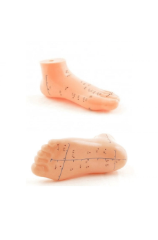 Ayak Akupunktur bölgesi Maketi