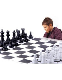 Okullara Özel Satranç Takımı