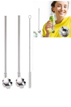 Paslanmaz Metal 2 li Kaşıklı Pipet Fırça Seti