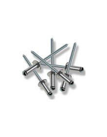 Perçin Pop 4x20 mm (10 Adet)