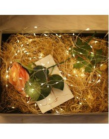 Peri Led Işık 3 metre GÜN IŞIĞI Dekor Lambası 28 Ledli