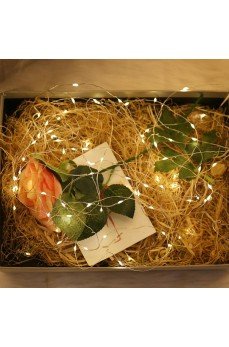 Peri Led Işık 3 metre GÜN IŞIĞI Dekor Lambası 28 Ledli Peri Led Işık 3 metre GÜN IŞIĞI Dekor Lambası 28 Ledli