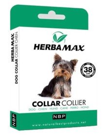 Pire Dış Parazit Kene Tasması - 38 Cm