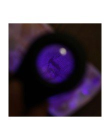 Para Kontrol Işıklı Büyüteçli Fener