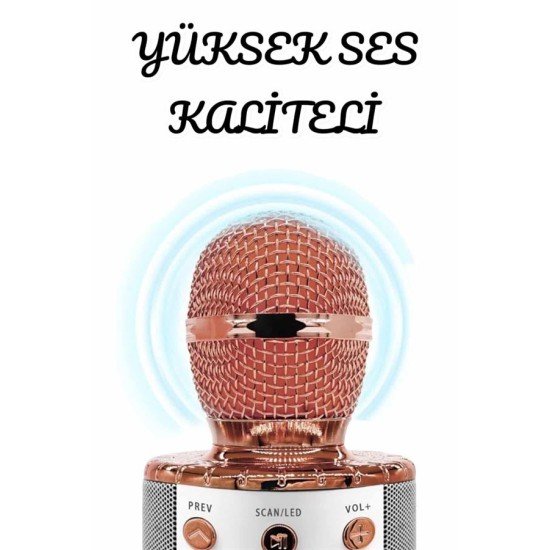 Şarjlı ve Uzun Pil Ömürlü Karaoke Mikrofon USB Bellek Destekli, Profesyonel Ses