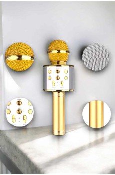 Taşınabilir Bluetooth Karaoke Mikrofon: Hafıza Kart Girişli, Etkileyici Performans