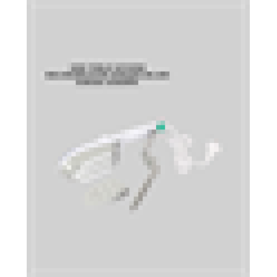 1500W Buharlı Kırışıklık Giderici Ütü | Ev ve Seyahat Kullanımı İçin Uygun