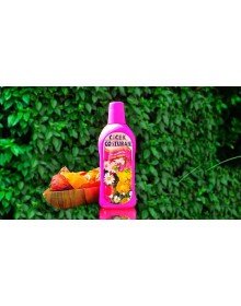 Tüm Süs Bitkileri İçin Extra Canlandırıcı