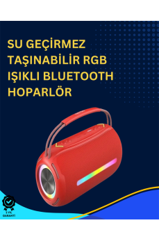 USB/SD/AUX Girişli Hoparlör – 10 W × 2 Çift Sürücü