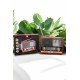 Nostaljik Görünümlü USB Girişli Bluetooth Bağlantılı Radyo Nostaljik Görünümlü USB Girişli Bluetooth Bağlantılı Radyo