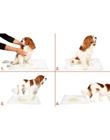 Yıkanabilir Köpek Çiş Pedi - 100 X 100 Cm 5li Paket