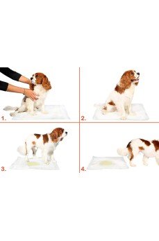 Yıkanabilir Köpek Çiş Pedi - 100 X 100 Cm 5li Paket
