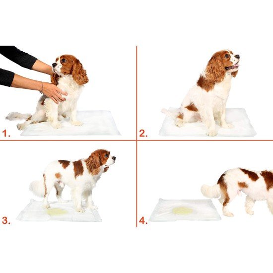 Yıkanabilir Köpek Çiş Pedi - 90 X 60 Cm 5li Paket Yıkanabilir Köpek Çiş Pedi - 90 X 60 Cm 5li Paket