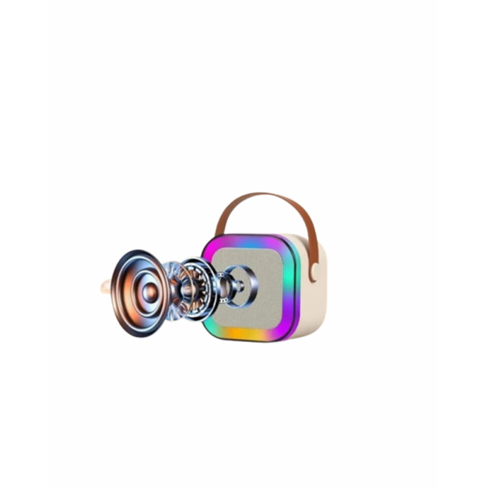 Yüksek Performanslı Kablosuz Karaoke Hoparlör