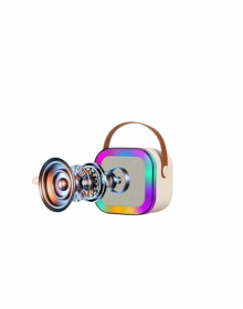 2 MİKRAFONLU SPEAKER