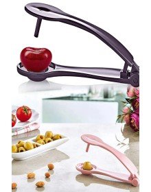 Zeytin Çekirdeği Çıkartma Aparatı