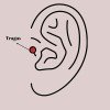 316L Çelik Gold Renk Pembe Zirkon Taşlı Kalp Tragus Piercing 316L Çelik Gold Renk Pembe Zirkon Taşlı Kalp Tragus Piercing