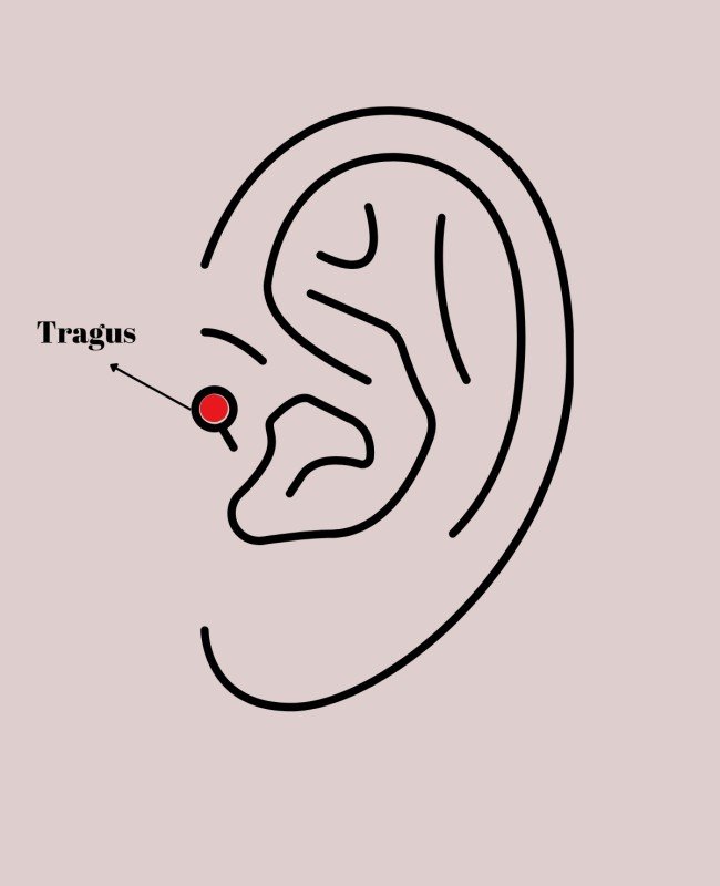 316L Çelik Gold Renk Pembe Mineli Kalp Zirkon Taş Detay Tragus Piercing 316L Çelik Gold Renk Pembe Mineli Kalp Zirkon Taş Detay Tragus Piercing
