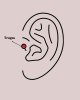 316L Çelik Gold Renk Pembe Mineli Kalp Zirkon Taş Detay Tragus Piercing 316L Çelik Gold Renk Pembe Mineli Kalp Zirkon Taş Detay Tragus Piercing