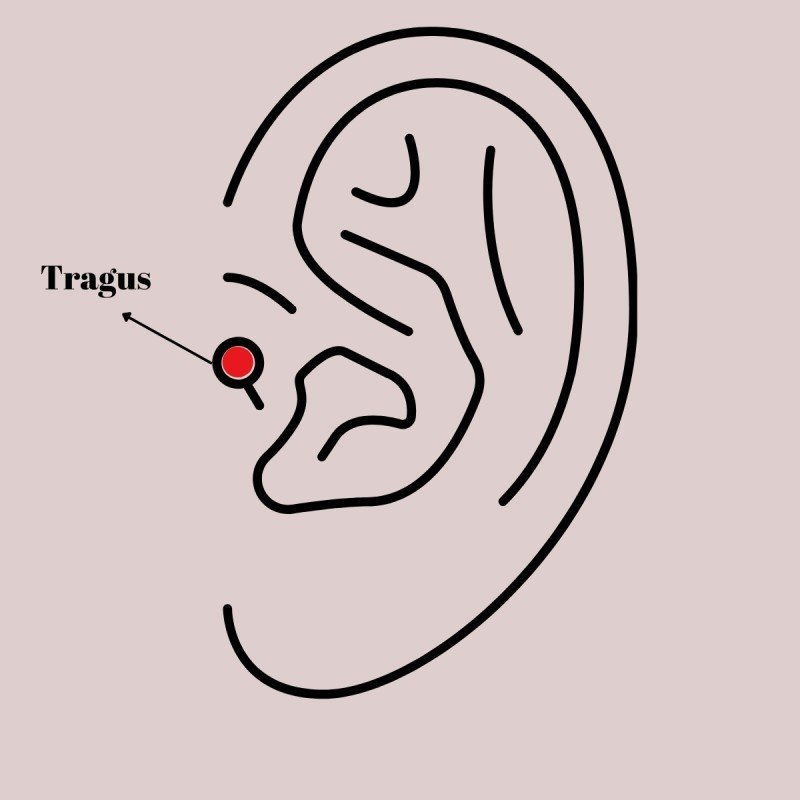316L Çelik Gold Renk Turuncu Zirkon Taşlı Tragus Piercing