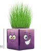 Çim Adam Mini Küp Emoji Figürlü 1 Adet Çim Adam Mini Küp Emoji Figürlü 1 Adet