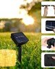 10 Metre Güneş Enerjili Hortum LED Işık