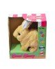 40098 Tavşan Peluş Pilli-Aya Toys 40098 Tavşan Peluş Pilli-Aya Toys