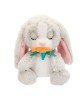 BAW02000 Baby Paws Sesli Tavşan 20 cm Peluş BAW02000 Baby Paws Sesli Tavşan 20 cm Peluş