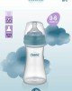 Biberon Anti Kolik Biberon 250 ml Kapaklı Biberon 0 - 6 Ay (Yavaş Akış)