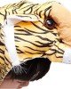 Çocuk Kaplan Kostumu - Aslan Kostümü 4-5 Yaş 100 cm Çocuk Kaplan Kostumu - Aslan Kostümü 4-5 Yaş 100 cm
