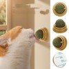 Duvara Yapışan Dönen Kedi Nanesi Cat Oyun Topu Doğal Kedi Oyuncağı Duvara Yapışan Dönen Kedi Nanesi Cat Oyun Topu Doğal Kedi Oyuncağı