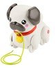 HTW94 Fisher-Price  Minik Dostumla Yürüyüş
