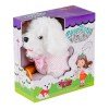 Peluş Köpek